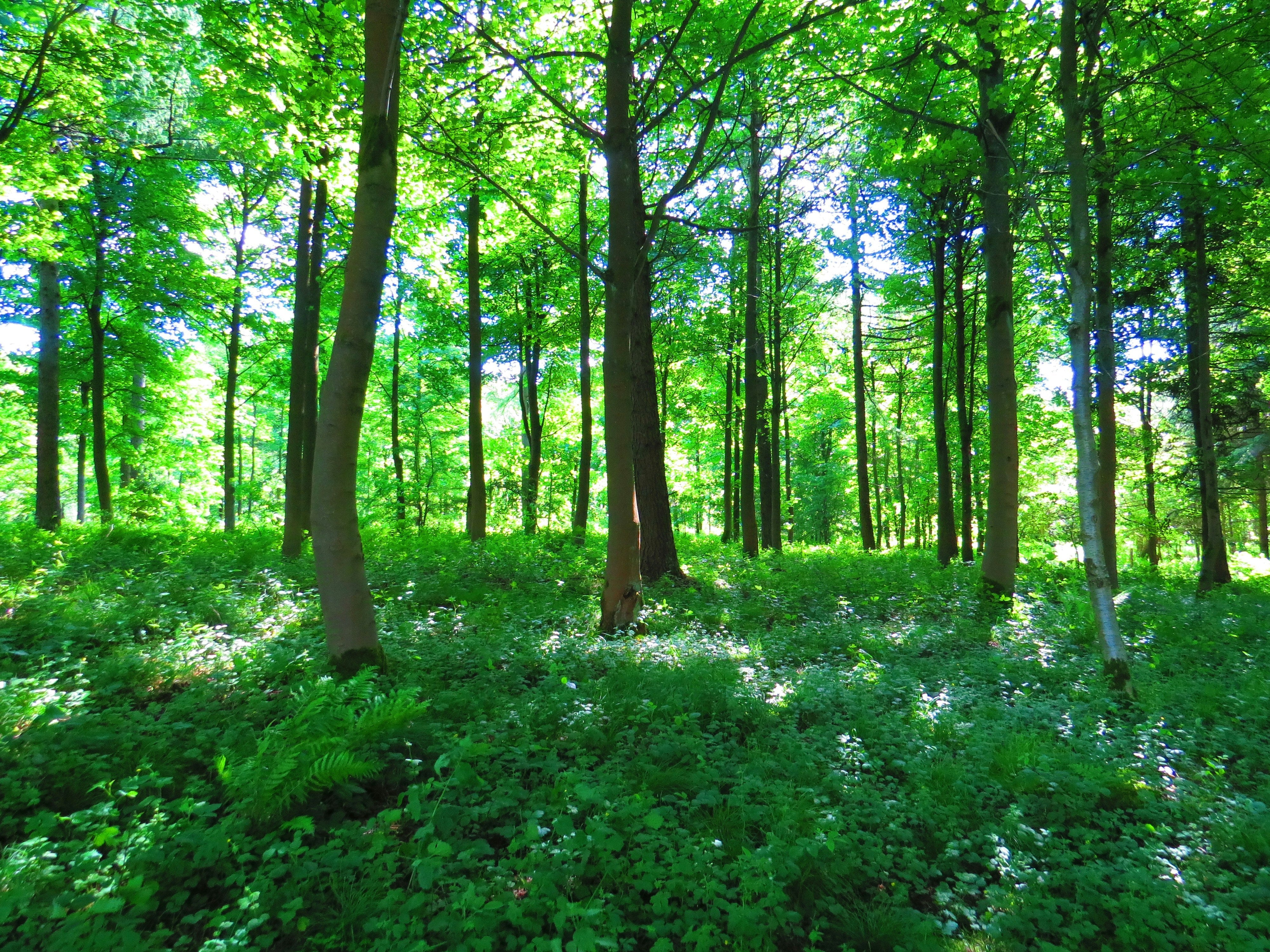 From 9 to Trailhead: How to Fit the Outdoors Into a Busy Schedule