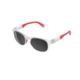 POC Evolve Sunglasses